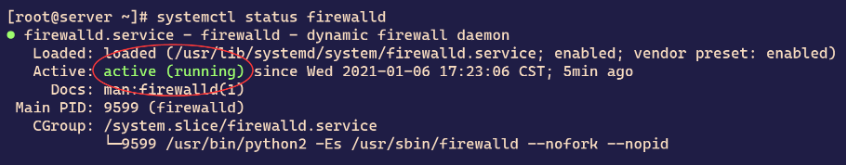 695166451fe7f.png QQ_1766942268229.png